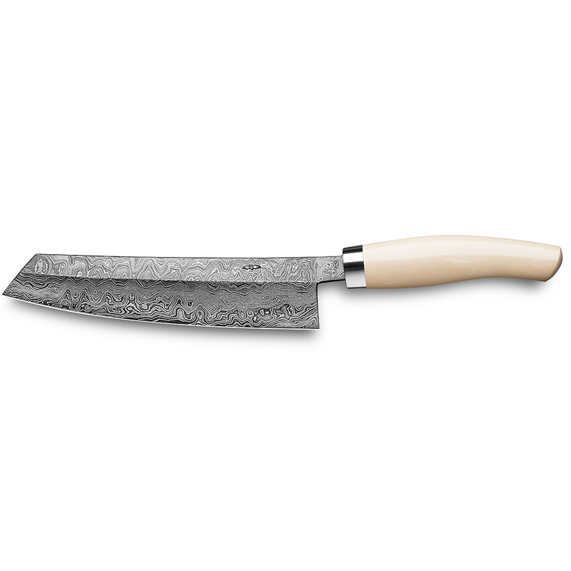 EXCLUSIVE C100 chef's knife